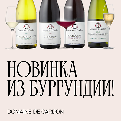 НОВИНКА ИЗ БУРГУНДИИ